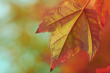 Czy „Dobrze się kłamie w miłym towarzystwie”?