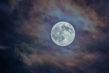 Czy widzisz to co ja?