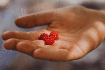 A wszystko to, bo…