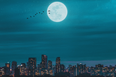 Po co chodzić w góry?