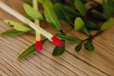 Po co chodzić w góry?