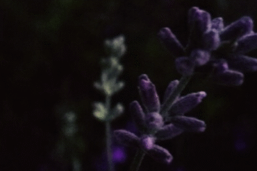 O WIELKICH w naszym życiu