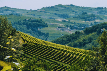 Attraversiamo… czyli: mogę (możemy) więcej