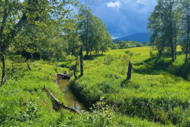 A Słowo ciałem się stało i mieszkało między nami – czyli kilka słów o psychosomatyce